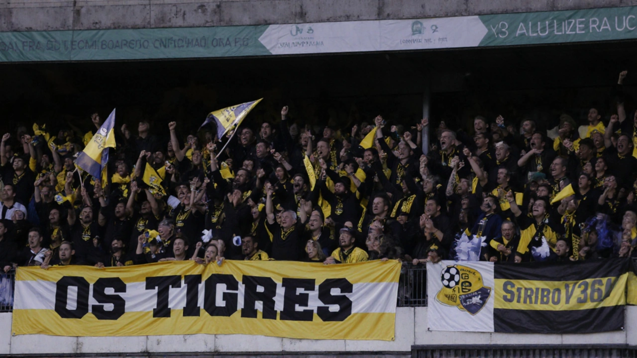 Criciúma assume liderança da Série B após vitória sobre o Coritiba