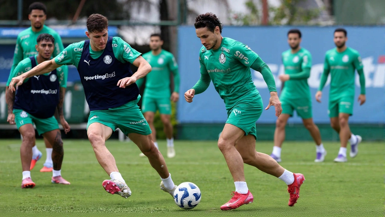 Palmeiras treina em SP e viaja para Caxias do Sul com 62 pontos e vantagem no Brasileirão